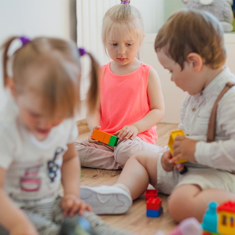 VanWest College Understanding Child Growth and Development