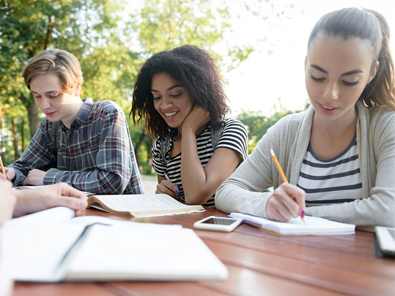 vanwest-college-small-vcp-single-courses